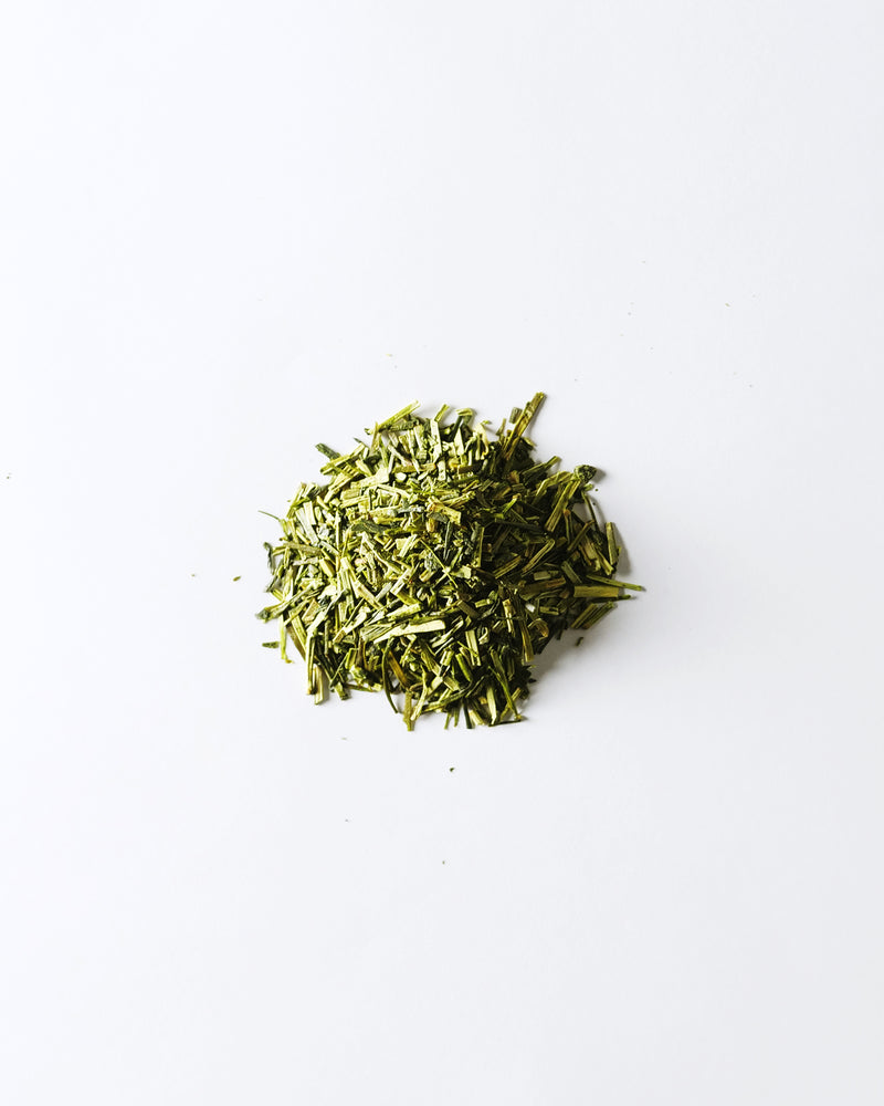 【緑茶】静岡・島田 やぶきた茎茶 2022 ティーバッグ4g×10個入り