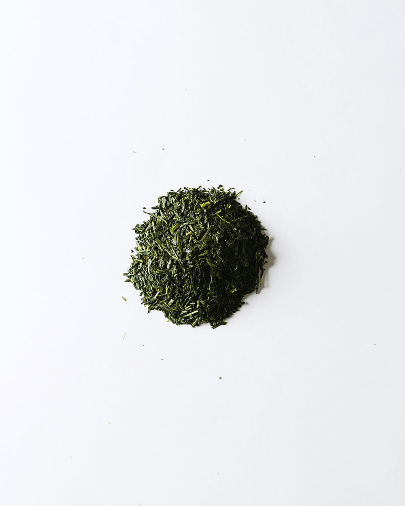 【緑茶】福岡・うきは おくみどり 2022 ティーバッグ4g×10個入り