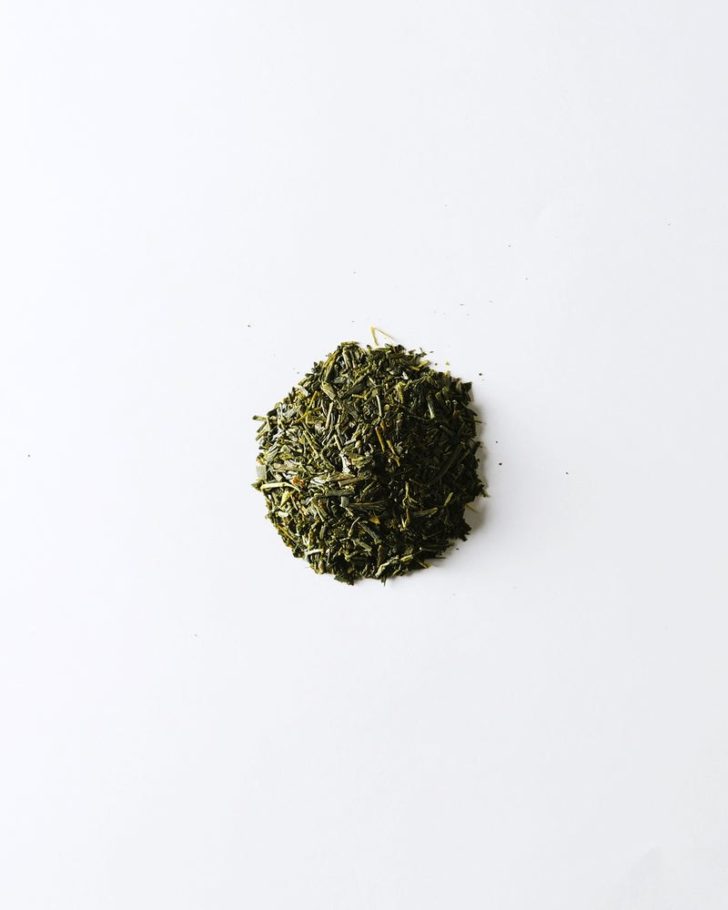 【緑茶】静岡・天竜 そうふう 2021 ティーバッグ（10パック入り or 1パック入り）